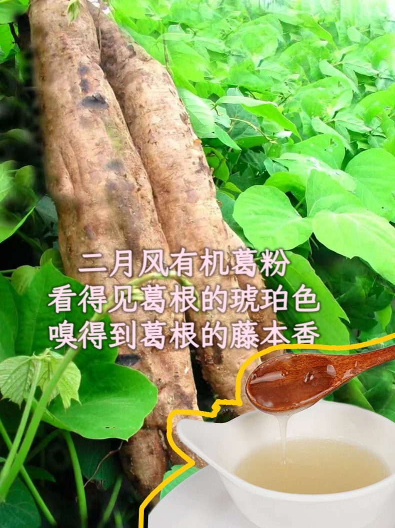二月風(fēng)有機葛粉，看得見葛根的琥珀色，嗅得到葛根的藤本香_790.jpg