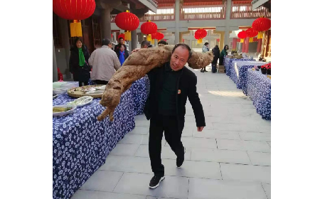 泰山巔的叩問：當野生葛根粉遇見五代傳承的 “至誠之道”