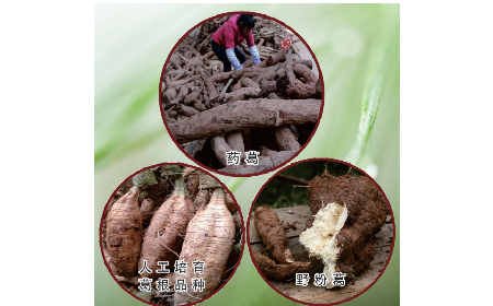 買葛粉是買野生的好？還是野生有機(jī)的好？